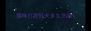 猫咪打完狂犬多久洗澡