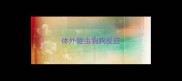 体外驱虫狗狗反应