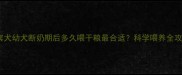 贵宾犬幼犬断奶期后多久喂干粮最合适科学喂养全攻略