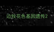 边牧花色基因遗传