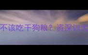 两个月金毛幼犬该不该吃干狗粮资深训犬师亲测方案来了