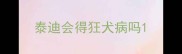泰迪会得狂犬病吗