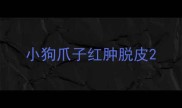小狗爪子红肿脱皮
