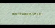 狗狗注射8联疫苗后的反应