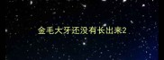 金毛大牙还没有长出来