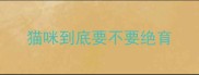 猫咪到底要不要绝育