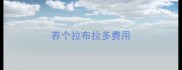养个拉布拉多费用