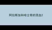 阿拉斯加和哈士奇的混血