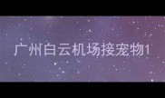 广州白云机场接宠物