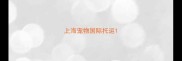 上海宠物国际托运