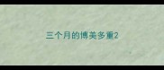 三个月的博美多重