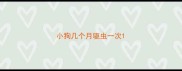小狗几个月驱虫一次