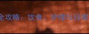 金毛犬毛色养护全攻略饮食护理与日常习惯的黄金搭配