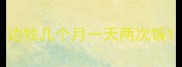 边牧几个月一天两次饭