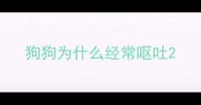 狗狗为什么经常呕吐