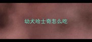 幼犬哈士奇怎么吃