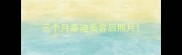 三个月泰迪美容后照片