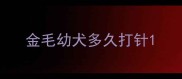 金毛幼犬多久打针