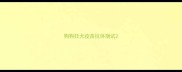 狗狗狂犬疫苗抗体测试