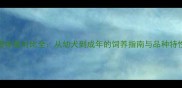 白色哈士奇体型对比全从幼犬到成年的饲养指南与品种特性深度剖析