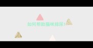 如何帮助猫咪排尿