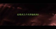 比特犬几个月开始吃肉