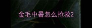 金毛中暑怎么抢救