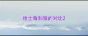 哈士奇和狼的对比