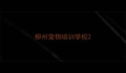 柳州宠物培训学校