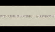 拉布拉多脸部肿的5大原因及应对指南兽医详解如何快速缓解肿胀