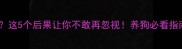 小狗不打疫苗可以吗这5个后果让你不敢再忽视养狗必看指南附疫苗全攻略