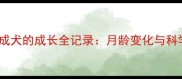 博美幼犬到成犬的成长全记录月龄变化与科学养护指南