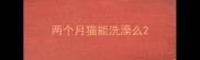 两个月猫能洗澡么