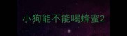 小狗能不能喝蜂蜜