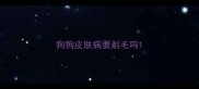 狗狗皮肤病要剃毛吗