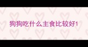 狗狗吃什么主食比较好
