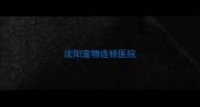 沈阳宠物连锁医院