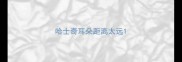 哈士奇耳朵距离太远