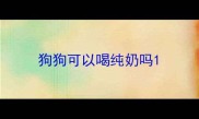 狗狗可以喝纯奶吗