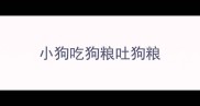 小狗吃狗粮吐狗粮