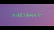 泰迪夏天要剃毛吗