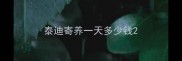 泰迪寄养一天多少钱