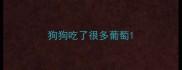 狗狗吃了很多葡萄