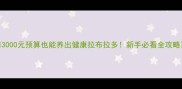 3000元预算也能养出健康拉布拉多新手必看全攻略