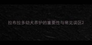 拉布拉多幼犬养护的重要性与常见误区