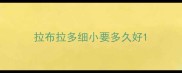 拉布拉多细小要多久好