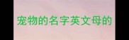 宠物的名字英文母的