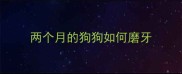 两个月的狗狗如何磨牙