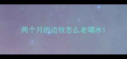两个月的边牧怎么老喝水