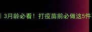 泰迪幼犬疫苗全攻略3月龄必看打疫苗前必做这5件事新手家长必存